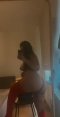 Top escort teddy💋👅❤️❤️ - Снимка 0