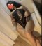 New new 🤍❤️ - Снимка 2