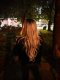 Hello Gentlemen! I am for people who value their free time! - Снимка 2