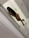🍫HOT PLAMENA 🍫 - Снимка 0