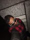 I deliver good times to business ladies and rich grannies sex  - Снимка 23