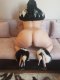 Sex - 50EUR + Ass - 100EUR - Снимка 4