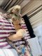 ⚜️Top Escort Blondy 💋Палаво котенце 💋 100% Reall - Снимка 10
