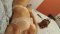 Sex Slut For A Little Bit In The City - Снимка 1