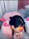 JUST FOR YOU💋😍🤩♥️ - Снимка 0