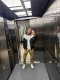   Акт 18 XL дискретен ⚠️ - Снимка 2