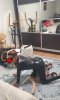 Коленичете, малки мои роби. Обичам да ви чукам, 30мин 50ЕUR  - Снимка 14
