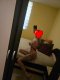 🔥Wild cat🔥✅You can also take advantage of the GFE service  - Снимка 2