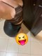 Топ Ескорт🤩✅💯🔥 - Снимка 3