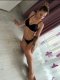 🔞New in town 🔞 - Снимка 3