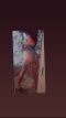 Транс Никол Дълбоко гърло машинка 💋👄❤️😋 - Снимка 0