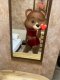 Mima 50€ new in your city Top escort❤️ - Снимка 1