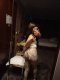 Aniitaa🥰 WhatsApp Viber me: ☎️ - Снимка 11