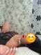 Now in your city ❤️ - Снимка 1
