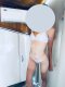 🎀Sexy girl 🎀 - Снимка 3