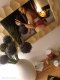 ❤️TOP NEW GABRIELLA ESCORT🫦 - Снимка 9