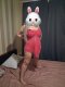 😻💯I'm the right choice for you 💞come and fuck 💯❤️‍🔥 - Снимка 3