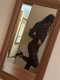 Nova pri vas za 2 dni ne propuskai  👅🥰😁 - Снимка 3