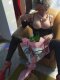 NEW IN YOUR CITY BELLA PISANATA 200% GUARANTEED COUPON FOR EVERY - Снимка 1