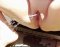 My real sex clips photos my German Shepherd - Снимка 1