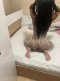Small and cute  - Снимка 1