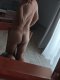 I'm looking for a boy with desires like mine. - Снимка 0