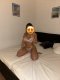 ❤️‍🔥Vip-Escort❤️‍🔥❤️❤️❤️ - Снимка 1