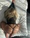 Come have fun.  - Снимка 4