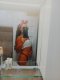best blowjob 69 cum in my mouth - Снимка 0