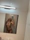 Erotic time  - Снимка 2