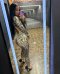 Natalie🥰🥰🥰😘 - Снимка 1