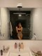 New in the city class and stayle Transsexual  - Снимка 1