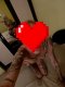 🔥Wild cat🔥✅You can also take advantage of the GFE service  - Снимка 5