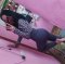 New kitten - Снимка 4