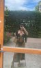 ⚜️Vip Escort ⚜️DEA🫦 - Снимка 1