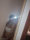 ❤️TOP NEW GABRIELLA ESCORT🫦 - Снимка 3