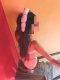 VIP Massage ✨🫦 French without 💖 - Снимка 2