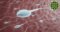 I offer BGN 200 per meeting - Please read the ad - Снимка 1