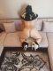 Sex - 50EUR + Ass - 100EUR - Снимка 1