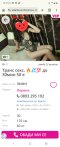 STOLEN PHOTOS FROM TRANS - Снимка 2