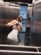 Малко Сладко Изкушение 💋 Промо ГФЕ 👅WhatsApp Viber Telegramm - Снимка 0