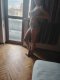 New with many extras, not pro-Russian😘❤️🍀☎️ - Снимка 0