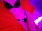 100€_hour_+_French_without NEW TOP ESCORT 🔞 - Снимка 3