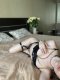 Milena Nova, I'm in your town for 1 day.  - Снимка 8