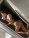 Ела и опитай😍🔞 - Снимка 4