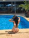  😊Сладко Миньонче❤️GFE-200 Sozopol-Beach🥂🏖 - Снимка 10