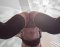 Video chat Seh clips with me and my colleague photos and videos! - Снимка 4