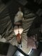 BDSM Your Mistress! - Снимка 4
