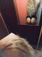Sexy bitch - Снимка 0
